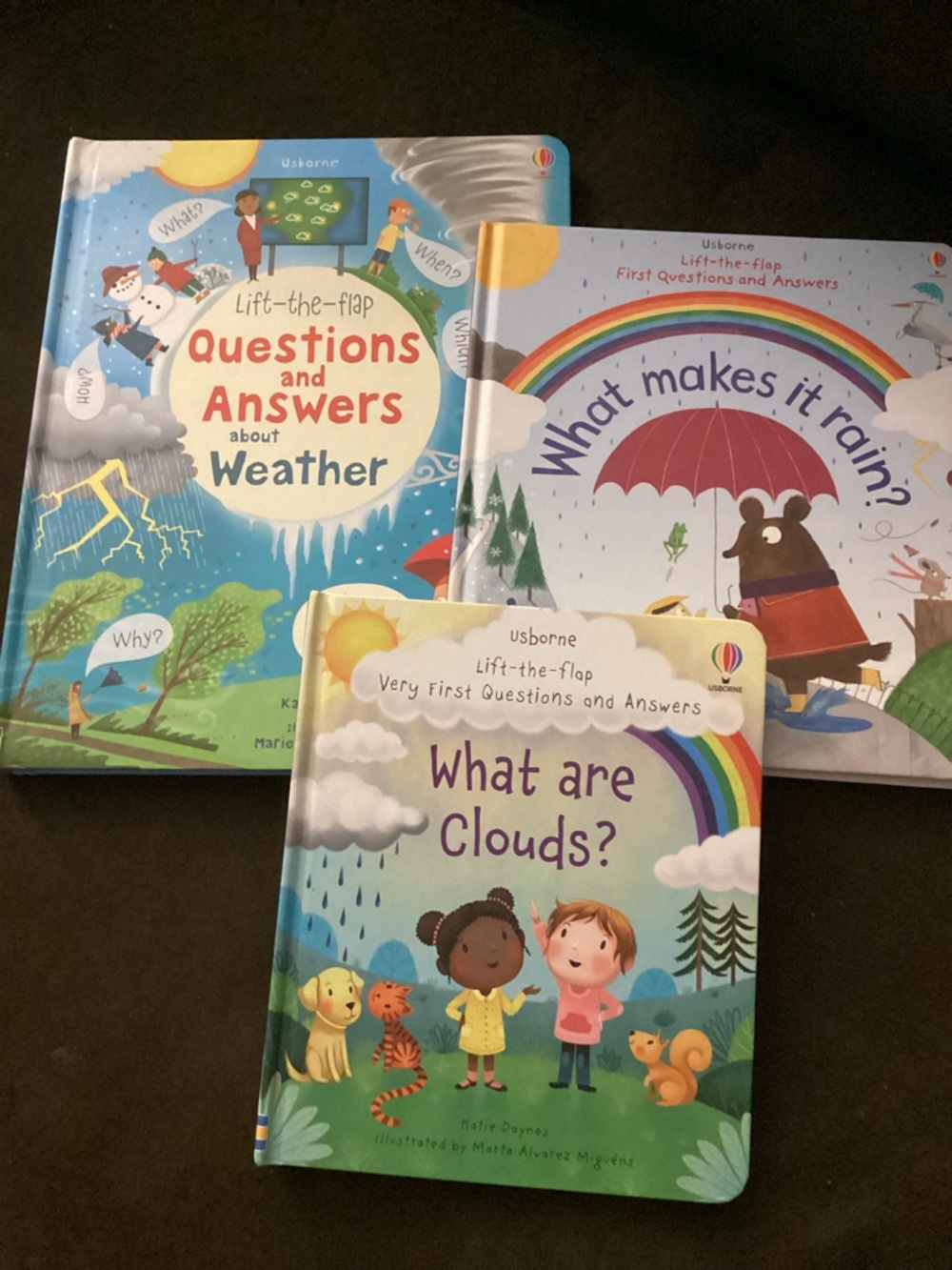 Usborne What Are Clouds? - Kids Lift-the-Flap Board Book (Green)